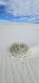 20240209_095213_copy_349x747.jpg 20240209_095213_copy_349x747.jpg