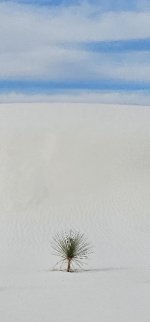 20240209_090700_copy_349x747.jpg 20240209_090700_copy_349x747.jpg