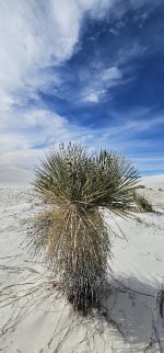 20240209_102627_copy_349x747.jpg 20240209_102627_copy_349x747.jpg