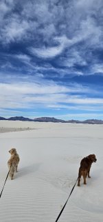 20240209_093021_copy_349x747.jpg 20240209_093021_copy_349x747.jpg