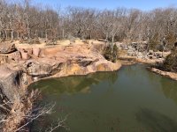 IMG_9682.jpeg IMG_9682.jpeg