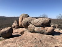 IMG_9691.jpeg IMG_9691.jpeg