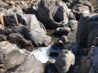 IMG_9717.jpeg IMG_9717.jpeg