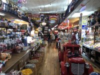 IMG_9719.jpeg IMG_9719.jpeg