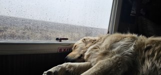 20240210_123459_copy_1200x560.jpg 20240210_123459_copy_1200x560.jpg