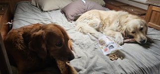 20240210_124403_copy_1200x560.jpg 20240210_124403_copy_1200x560.jpg