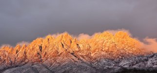 20240210_174729_copy_1200x560.jpg 20240210_174729_copy_1200x560.jpg