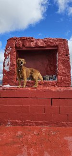 20240211_114048_copy_1200x2570.jpg 20240211_114048_copy_1200x2570.jpg