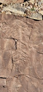 20240212_094419_copy_1200x2570.jpg 20240212_094419_copy_1200x2570.jpg