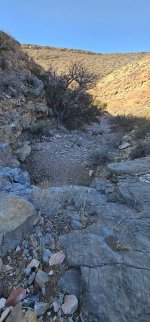 20240212_093704_copy_1200x2570.jpg 20240212_093704_copy_1200x2570.jpg