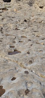 20240212_095139_copy_1200x2570.jpg 20240212_095139_copy_1200x2570.jpg