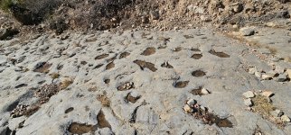 20240212_095522_copy_1200x560.jpg 20240212_095522_copy_1200x560.jpg