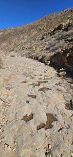 20240212_095555_copy_1200x2570.jpg 20240212_095555_copy_1200x2570.jpg