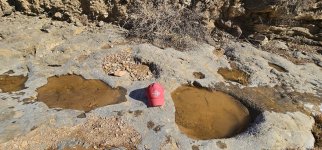 20240212_095343_copy_1200x560.jpg 20240212_095343_copy_1200x560.jpg