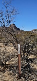 20240213_143456_copy_1200x2570.jpg 20240213_143456_copy_1200x2570.jpg