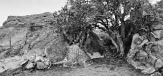 20240214_180324_copy_1200x560.jpg 20240214_180324_copy_1200x560.jpg