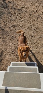 20240214_083651_copy_1200x2570.jpg 20240214_083651_copy_1200x2570.jpg