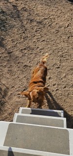 20240214_083645_copy_1200x2570.jpg 20240214_083645_copy_1200x2570.jpg