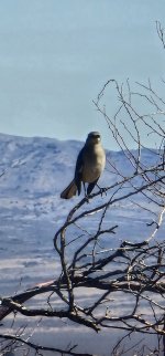 20240214_123344_copy_1200x2570.jpg 20240214_123344_copy_1200x2570.jpg