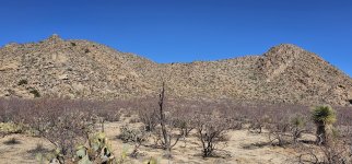 20240214_130023_copy_1200x560.jpg 20240214_130023_copy_1200x560.jpg