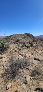 20240214_131830_copy_1200x2570.jpg 20240214_131830_copy_1200x2570.jpg