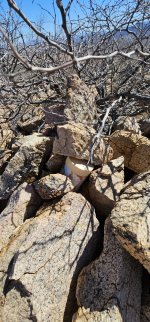 20240214_133140_copy_1200x2570.jpg 20240214_133140_copy_1200x2570.jpg