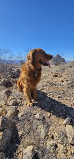 20240214_133606_copy_1200x2570.jpg 20240214_133606_copy_1200x2570.jpg