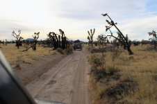 dv13.CR2.jpg dv13.CR2.jpg