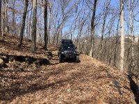 IMG_9743.jpeg IMG_9743.jpeg