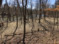 IMG_9742.jpeg IMG_9742.jpeg