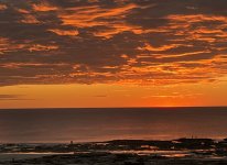 23-24 tails 10.jpg 23-24 tails 10.jpg