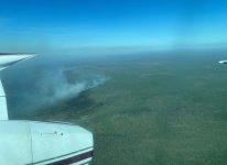 23-24 tails 24.jpg 23-24 tails 24.jpg