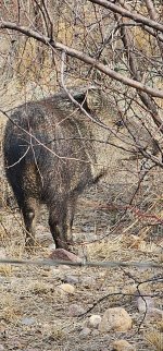 Screenshot_20240309_134953_Gallery_copy_1200x2573.jpg Screenshot_20240309_134953_Gallery_copy_1200x2573.jpg