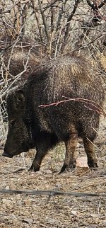 Screenshot_20240309_135007_Gallery_copy_1200x2573.jpg Screenshot_20240309_135007_Gallery_copy_1200x2573.jpg