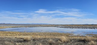 20240215_152550_copy_1200x560.jpg 20240215_152550_copy_1200x560.jpg