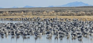 20240215_152557_copy_1200x560.jpg 20240215_152557_copy_1200x560.jpg