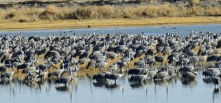 20240215_152612_copy_1200x560.jpg 20240215_152612_copy_1200x560.jpg