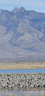 20240215_152941_copy_1200x2570.jpg 20240215_152941_copy_1200x2570.jpg