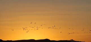 20240215_180137_copy_1200x560.jpg 20240215_180137_copy_1200x560.jpg