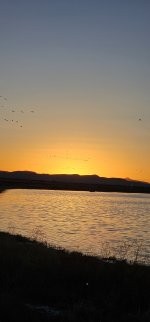 20240215_180029_copy_1200x2570.jpg 20240215_180029_copy_1200x2570.jpg