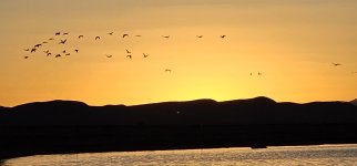 20240215_180153_copy_1200x560.jpg 20240215_180153_copy_1200x560.jpg