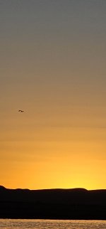 20240215_180111_copy_1200x2570.jpg 20240215_180111_copy_1200x2570.jpg