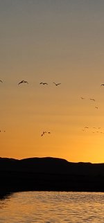 20240215_180145_copy_1200x2570.jpg 20240215_180145_copy_1200x2570.jpg