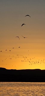 20240215_180207_copy_1200x2570.jpg 20240215_180207_copy_1200x2570.jpg