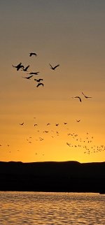 20240215_180206_copy_1200x2570.jpg 20240215_180206_copy_1200x2570.jpg