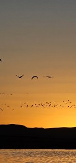 20240215_180211_copy_1200x2570.jpg 20240215_180211_copy_1200x2570.jpg