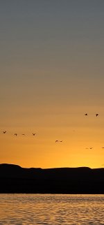 20240215_180305_copy_1200x2570.jpg 20240215_180305_copy_1200x2570.jpg