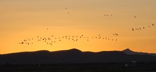 20240215_180510_copy_1200x560.jpg 20240215_180510_copy_1200x560.jpg