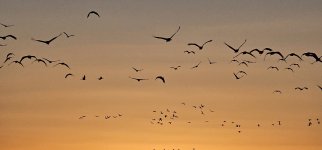 20240215_180534_copy_1200x560.jpg 20240215_180534_copy_1200x560.jpg