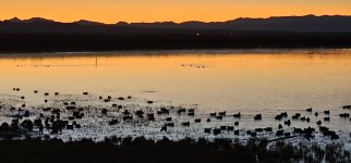 20240216_063058_copy_1200x560.jpg 20240216_063058_copy_1200x560.jpg